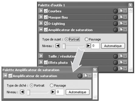 NIKON CAPTURE 4 - L'indicateur de modification - 1