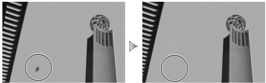 NIKON CAPTURE 4 - Image Dust Off - 1