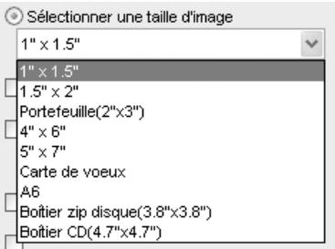 NIKON CAPTURE 4 - Mise en page - 1