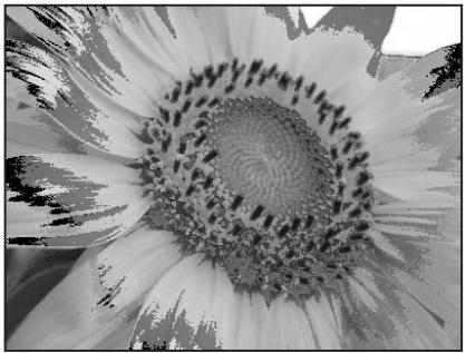 NIKON CAPTURE 4 - Démarrer/Terminer - 2