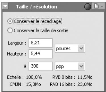 NIKON CAPTURE 4 - Affichez la palette Taille/Résolution - 1