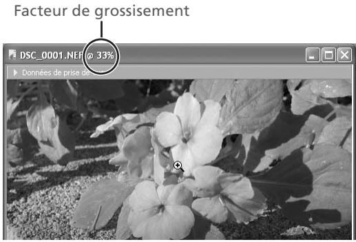 NIKON CAPTURE 4 - Déplacer l'image - 1