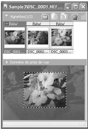 NIKON CAPTURE 4 - L'explorateur d'images - 2