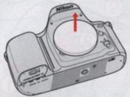 NIKON F50 - Avant la PRESE de VUE - 1