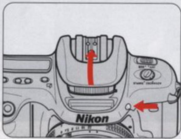 NIKON F50 - Informations du viseur - 6
