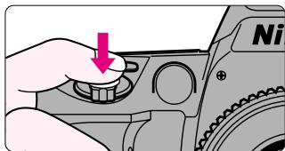 NIKON F60D - Confirm focus indicator appears without blinking and slowly depress the shutter release button. - 2