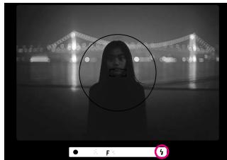 NIKON F60D - Confirm appears in viewfinder and make sure the subject is within the flash shooting distance range (page 58). - 1