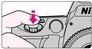 NIKON F60D - Compose frame and focus by lightly pressing the shutter release button. - 2
