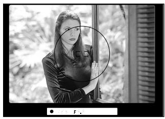 NIKON F60D - Auto Exposure Lock - 3