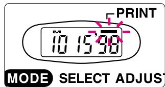 NIKON F60D - Adjusting date and time - 8