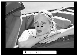 NIKON F60D - Confirm indications in the viewfinder while lightly pressing the shutter release button. - 2
