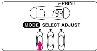 NIKON F60D - Adjusting date and time - 1