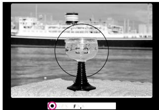 NIKON F60D - Focus Lock - 1
