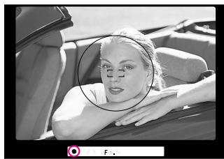 NIKON F60D - Compose frame and focus by lightly pressing the shutter release button. - 1