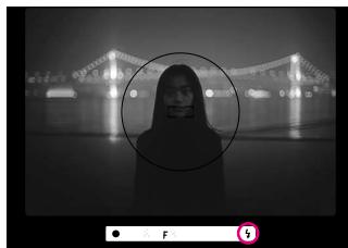 NIKON F60D - Confirm in viewfinder, then compose, focus and take the picture. - 1