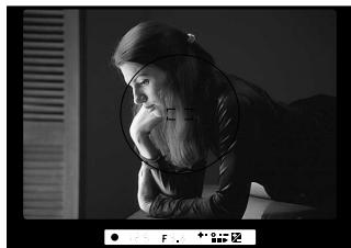 NIKON F60D - Compose picture and shoot. - 1