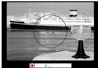 NIKON F60D - Focus Lock - 3