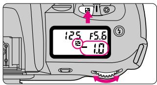 NIKON F60D - Exposure Compensation - 1