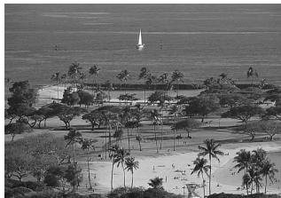 NIKON F60D - : Landscape Program - 1