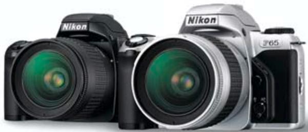 NIKON F65 - Nikon - 1