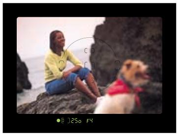NIKON F65D - Stays focused at every crucial moment - 2