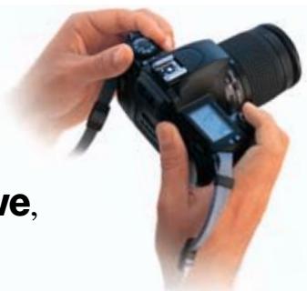 NIKON F65D - can do it all. - 8