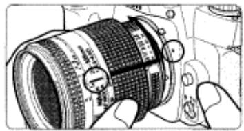 NIKON F80D - Mount Lens - 1