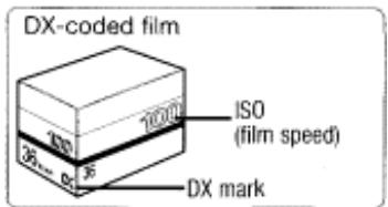 NIKON F80D - Load Film - 1