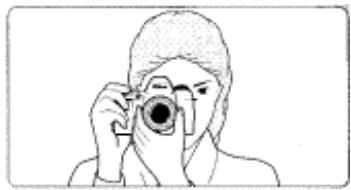 NIKON F80D - - Shooting characteristics of exposure modes - 1