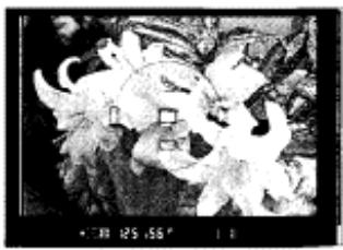 NIKON F80S - Rotate the focus area selector lock lever to release the lock, then select desired focus area with the focus area selector. - 3