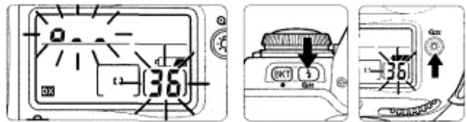 NIKON F80S - Mid-roll rewind - 2