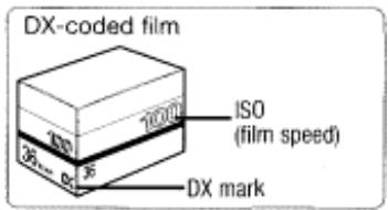 NIKON F80S - Load Film - 1