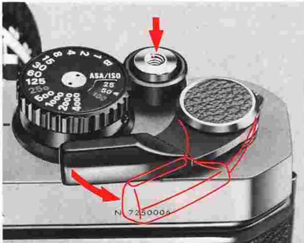 NIKON FM2 - Frame counter 53 - 1