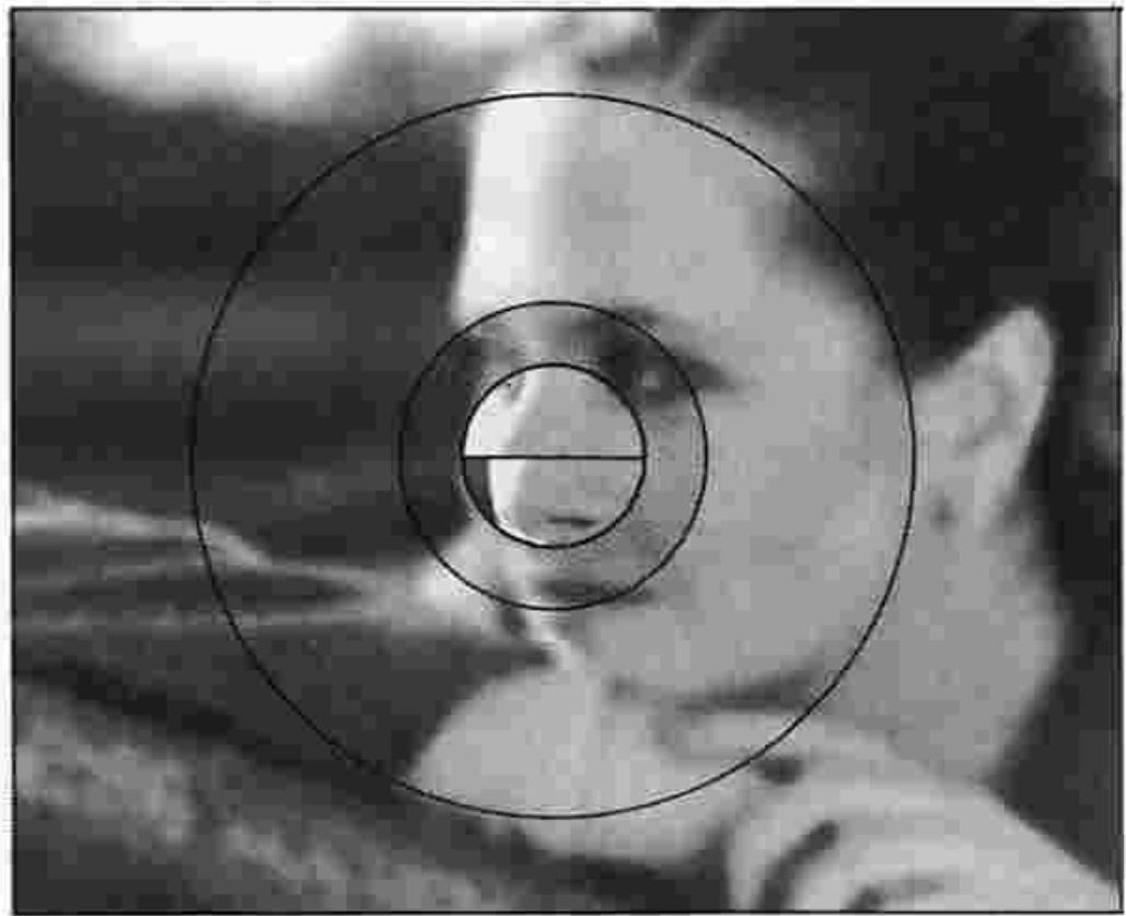 NIKON FM2 - Focus on the subject by rotating the lens focusing ring 46 - 1