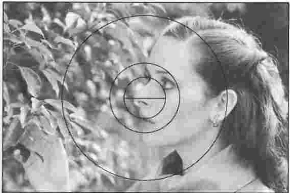 NIKON FM2 - Split-image focusing - 2