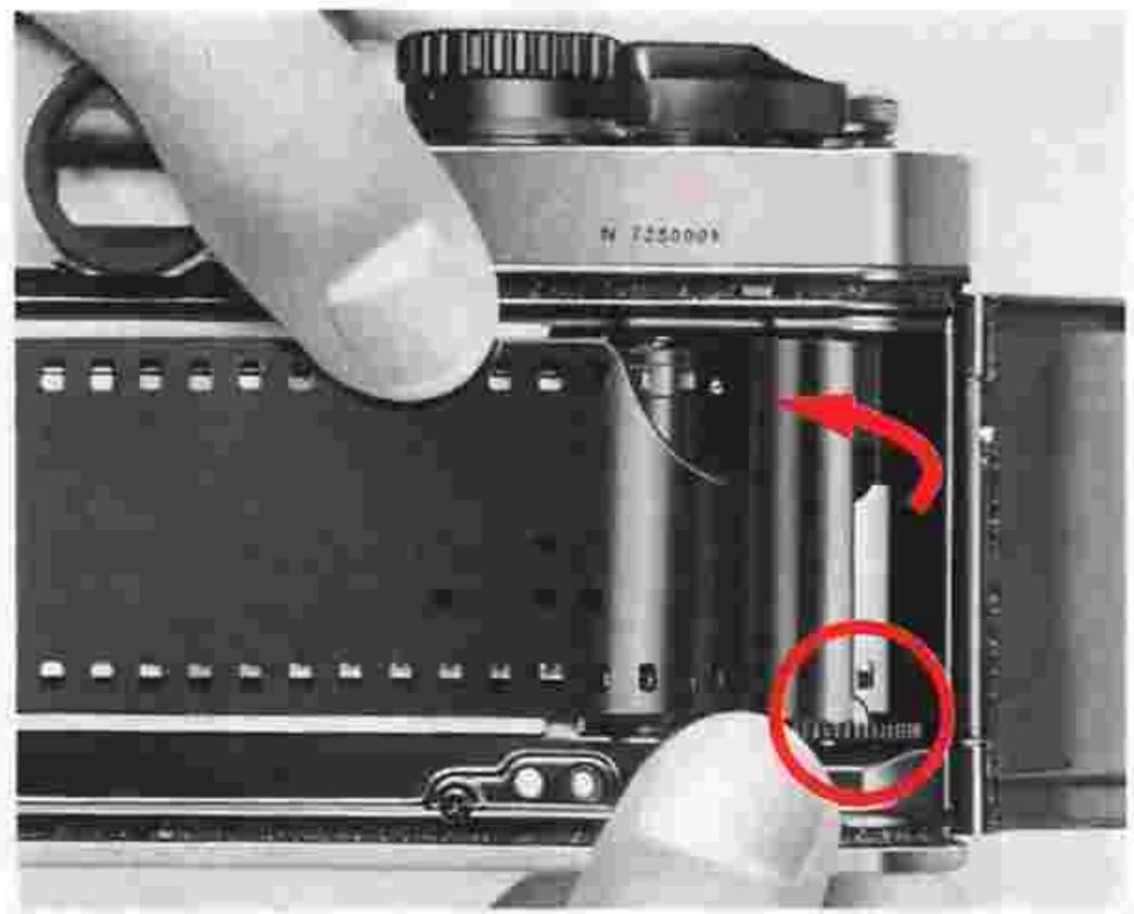 NIKON FM2 - Open the camera back 60 - 2