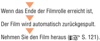 NIKON LITE TOUCH ZOOM 120ED-QD - Überprüfen Sie die grüne LED, und drücken Sie den Auslöser dann ganz (S. 119). - 2