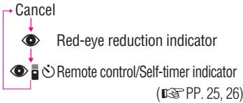 NIKON NUVIS S - Red-eye reduction mode - 2