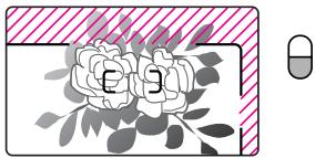 NIKON NUVIS S - Zum Beispiel für Blumenaufnahmen - 1