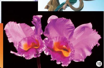 NIKON SB-600 - A wealth of advanced flash-shooting techniques await you with the SB-800. - 7