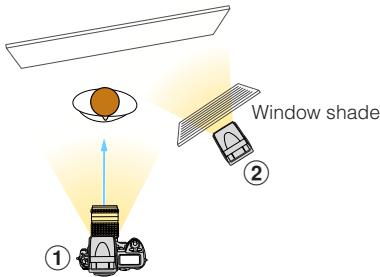 NIKON SB-600 - Flash set-up - 1
