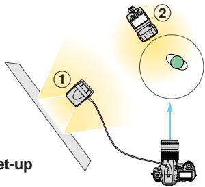 NIKON SB-600 - Close-up photography using multiple flash units - 3