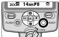 NIKON SB-800 - Example of close-up shooting with two flash units - 6
