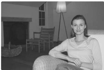 NIKON SB-800 - Examples of flash shooting in Advanced Wireless Lighting - 2