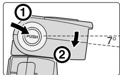 NIKON SB-800 - Example of close-up shooting with two flash units - 5