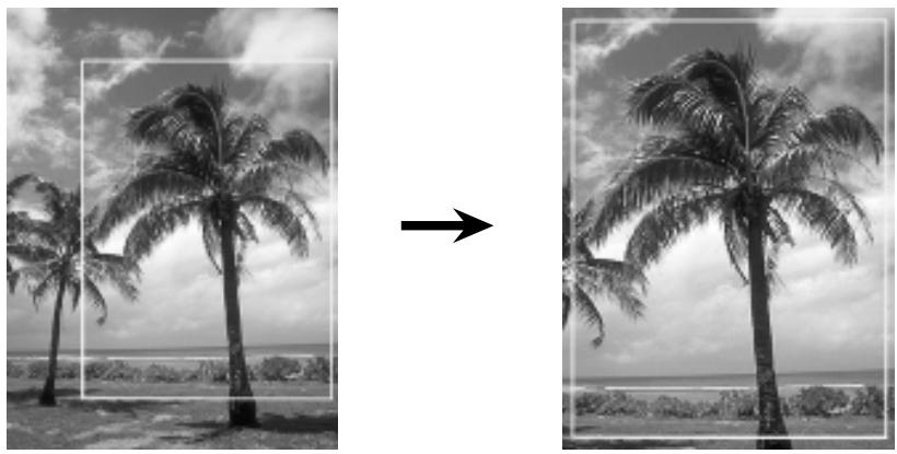 NIKON SCAN - Zoom - 4