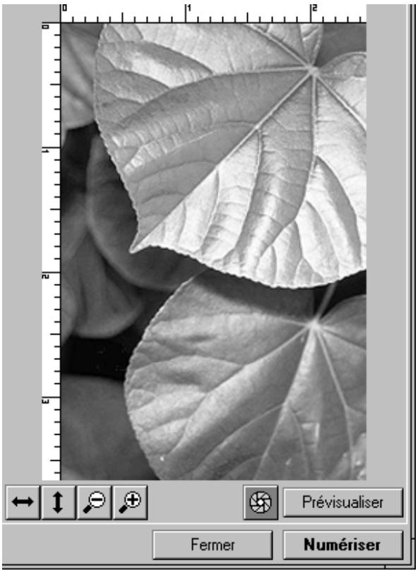 NIKON SCAN - Opérations de base - 1