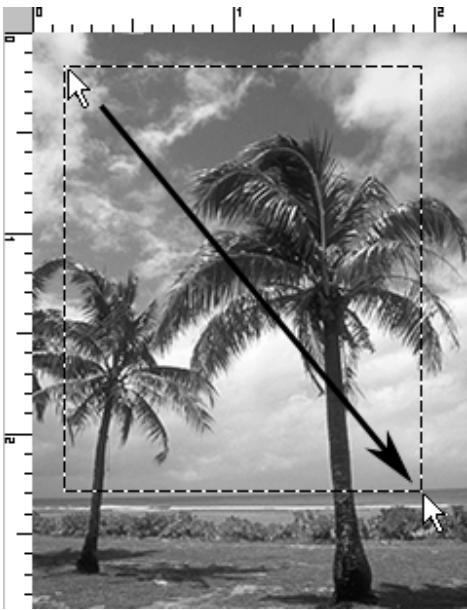 NIKON SCAN - Cadrage - 1