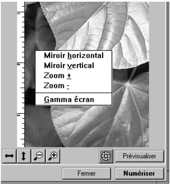 NIKON SCAN - Boutons et menus de la zone prévisualisation/recadrage - 1