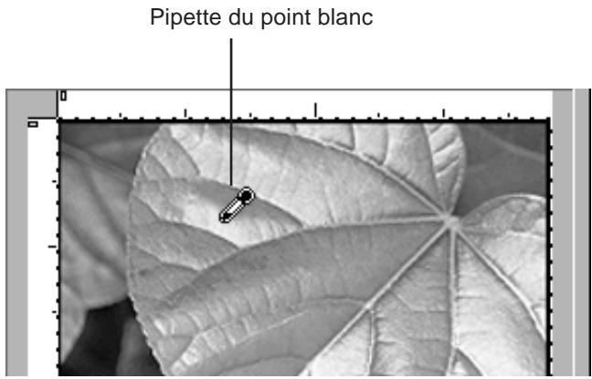 NIKON SCAN - Réglage du point blanc - 2